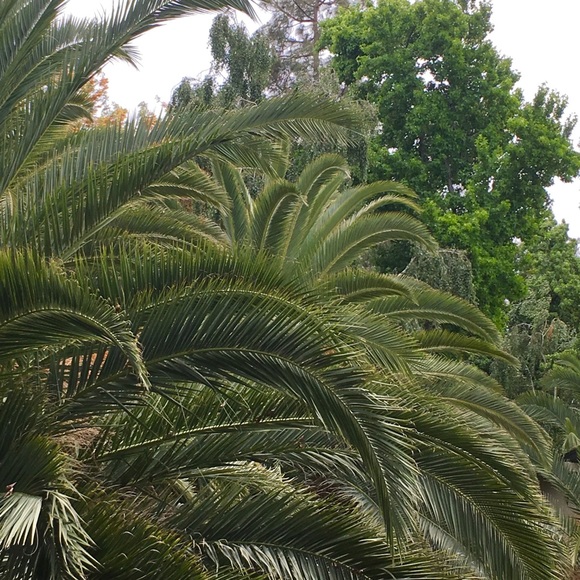 Meet your Posher, KoutureKellie - Picture 1 of 1